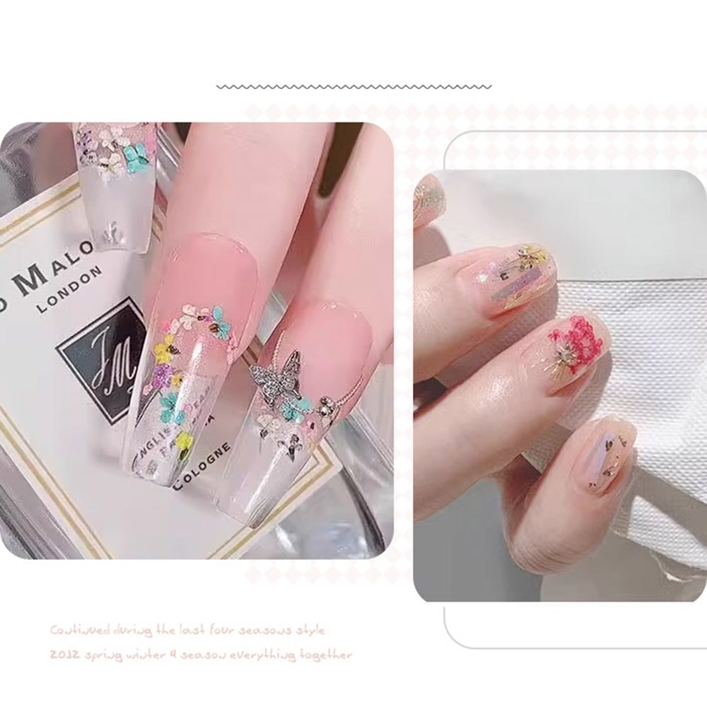 日本同款 油畫花瓣 乾燥花 ins風小花朵 小鬱金香花瓣 美甲飾品NailsMall-細節圖6