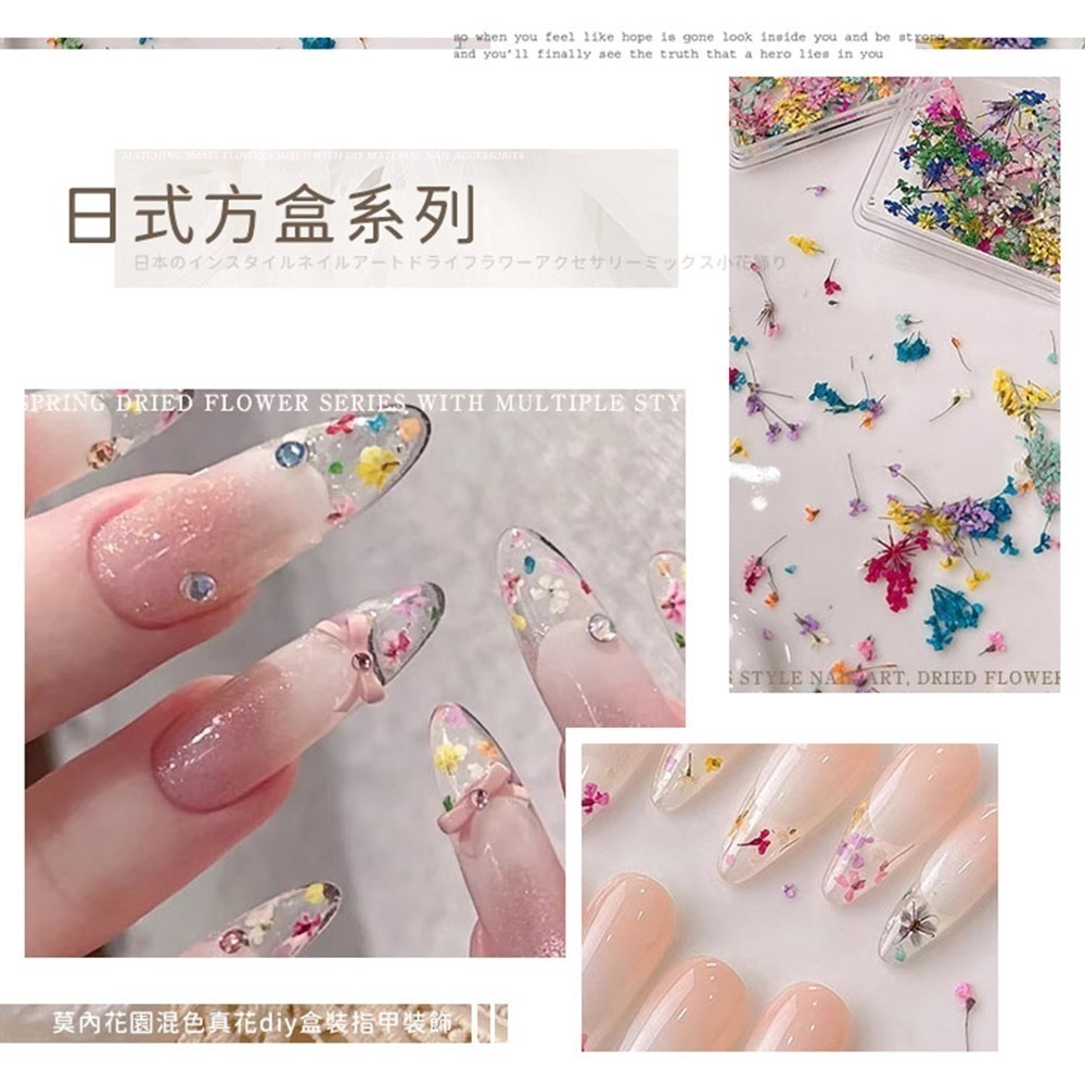 日本同款 油畫花瓣 乾燥花 ins風小花朵 小鬱金香花瓣 美甲飾品NailsMall-細節圖8