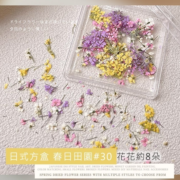 日本同款 油畫花瓣 乾燥花 ins風小花朵 小鬱金香花瓣 美甲飾品NailsMall-規格圖8