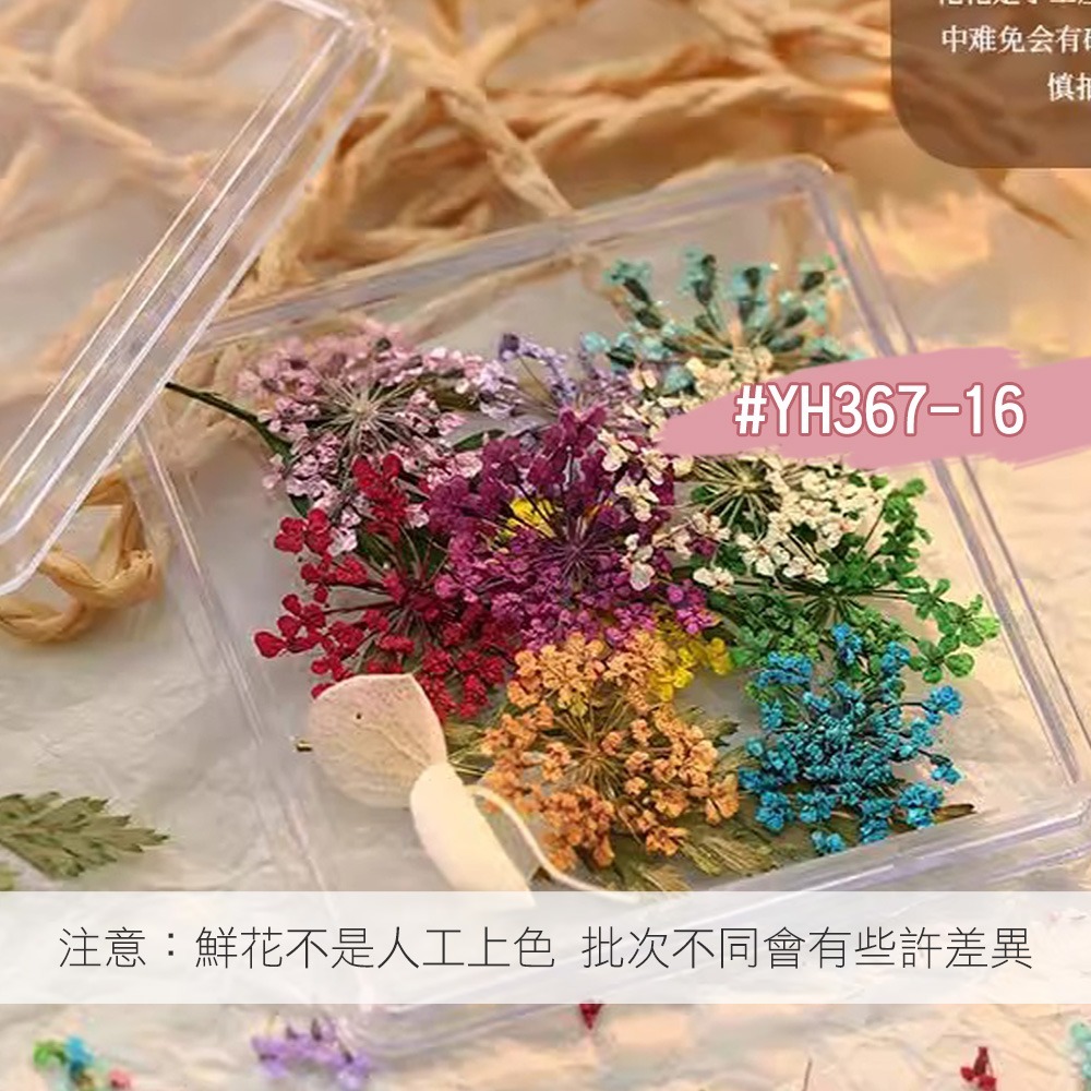 日本同款 油畫花瓣 乾燥花 ins風小花朵 小鬱金香花瓣 美甲飾品NailsMall-規格圖8