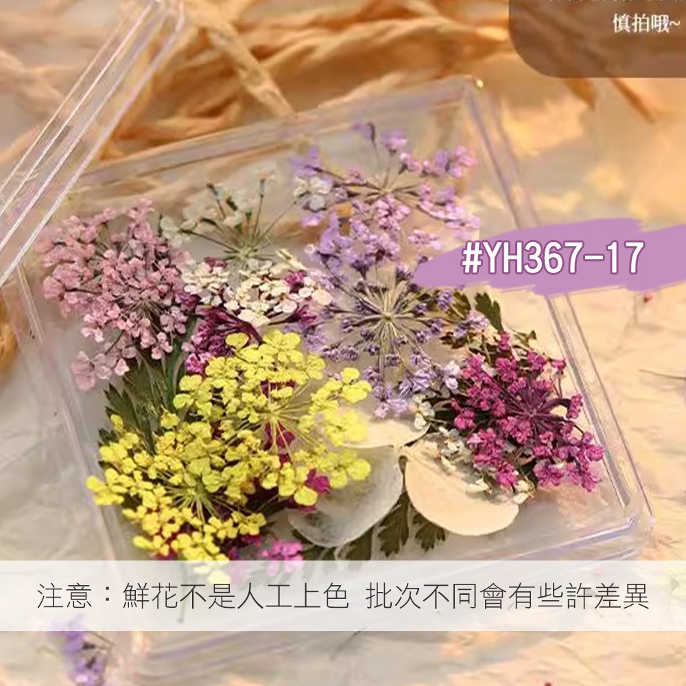 日本同款 油畫花瓣 乾燥花 ins風小花朵 小鬱金香花瓣 美甲飾品NailsMall-規格圖8