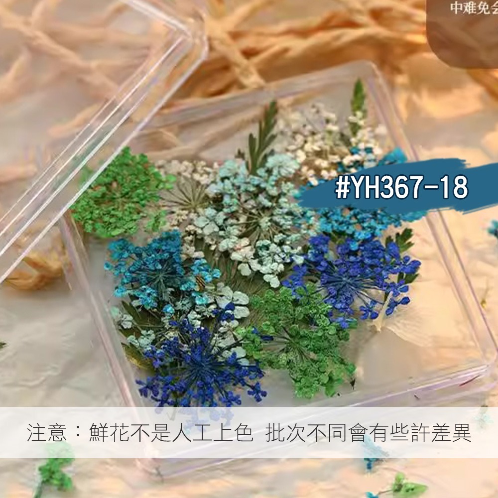 日本同款 油畫花瓣 乾燥花 ins風小花朵 小鬱金香花瓣 美甲飾品NailsMall-規格圖8