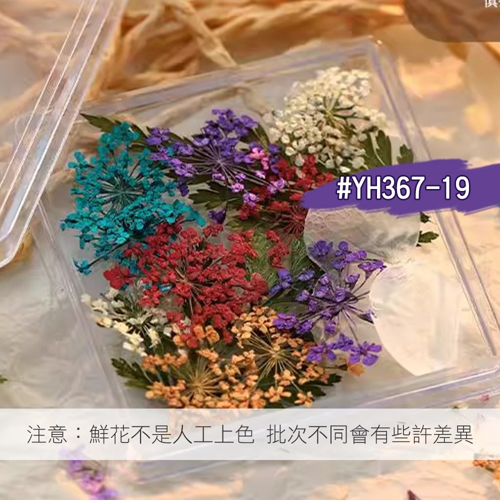 日本同款 油畫花瓣 乾燥花 ins風小花朵 小鬱金香花瓣 美甲飾品NailsMall-規格圖8