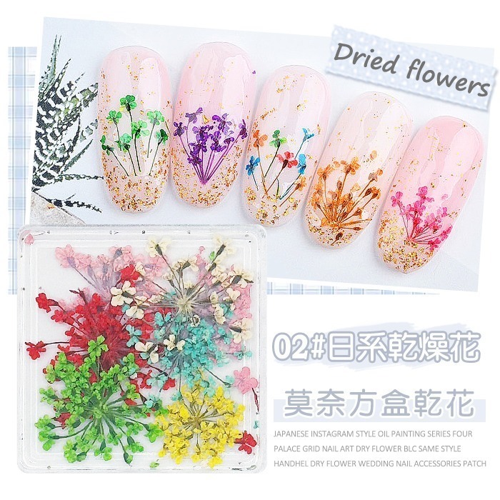 日本同款 油畫花瓣 乾燥花 ins風小花朵 小鬱金香花瓣 美甲飾品NailsMall-規格圖8