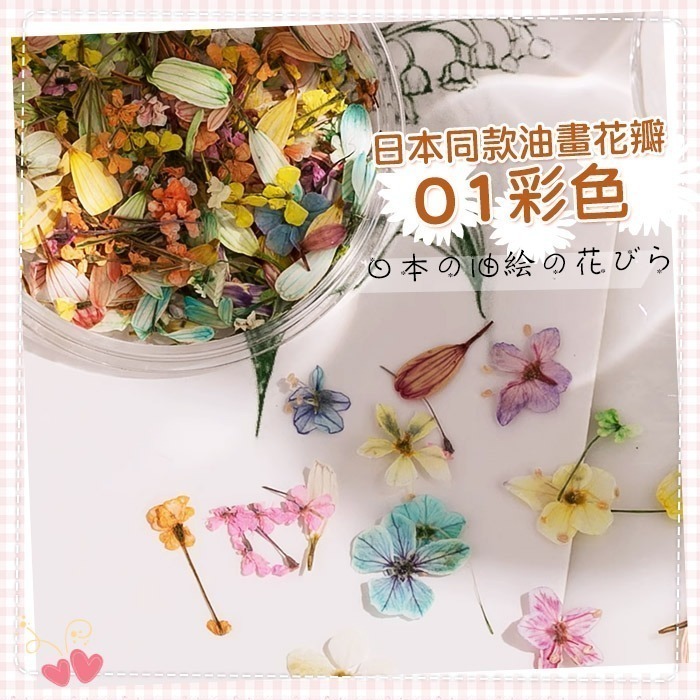 日本同款 油畫花瓣 乾燥花 ins風小花朵 小鬱金香花瓣 美甲飾品NailsMall-規格圖8