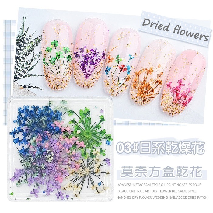 日本同款 油畫花瓣 乾燥花 ins風小花朵 小鬱金香花瓣 美甲飾品NailsMall-規格圖8
