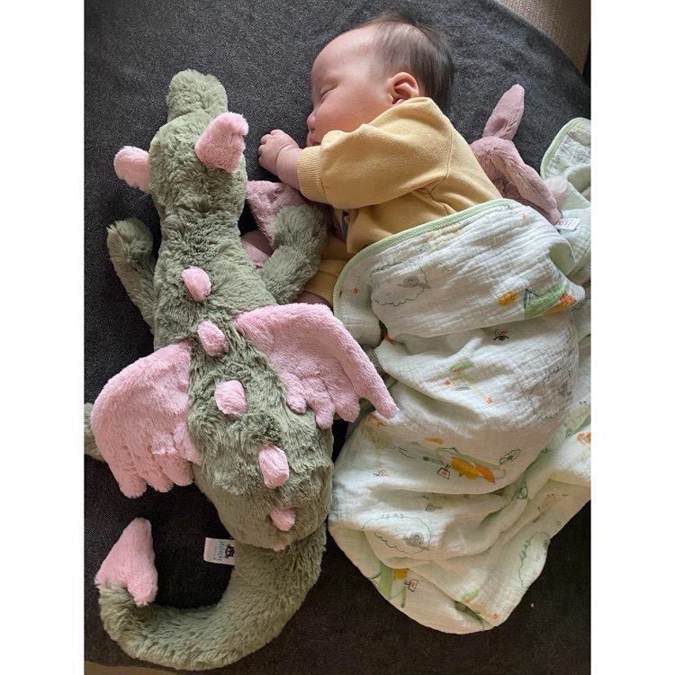 🐉治癒系小飛龍#jellycat 四款小飛龍 毛絨公仔玩偶娃娃玩具-細節圖3