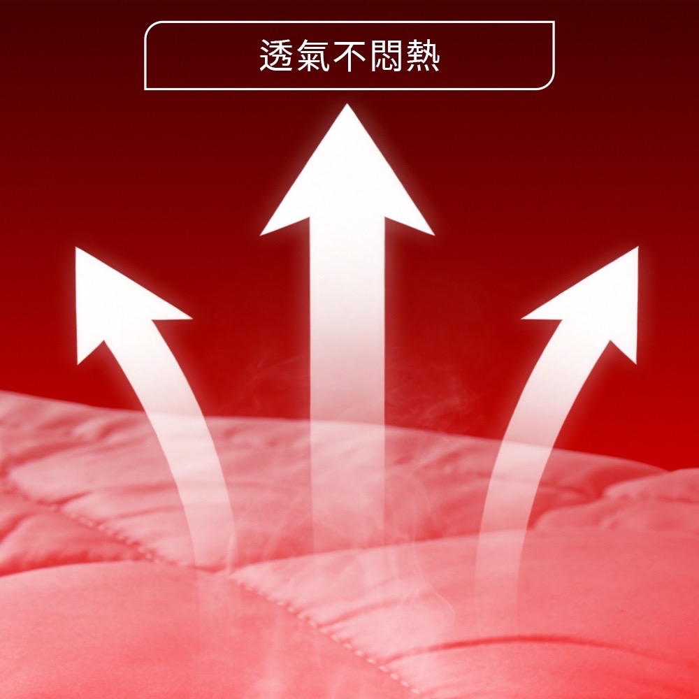 【夢享家】石墨烯被 發熱被 羊毛被 恆溫被 單人 雙人 冬被 棉被 被胎 內胎 厚棉被-細節圖4