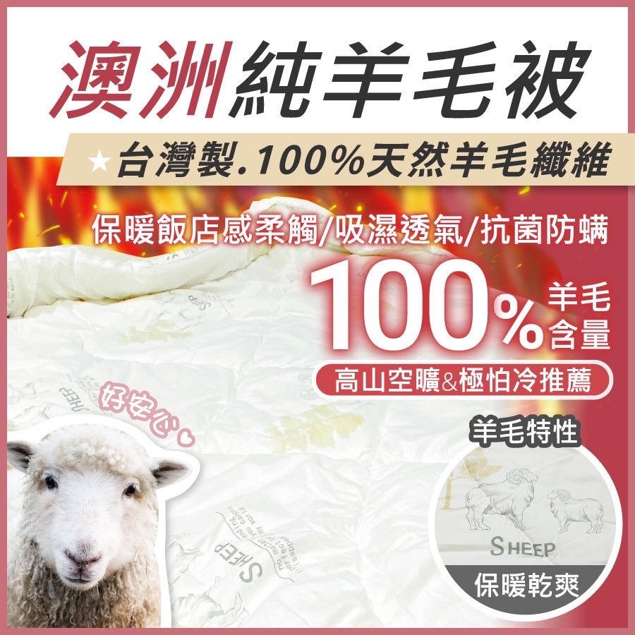 【夢享家】石墨烯被 發熱被 羊毛被 恆溫被 單人 雙人 冬被 棉被 被胎 內胎 厚棉被-細節圖10