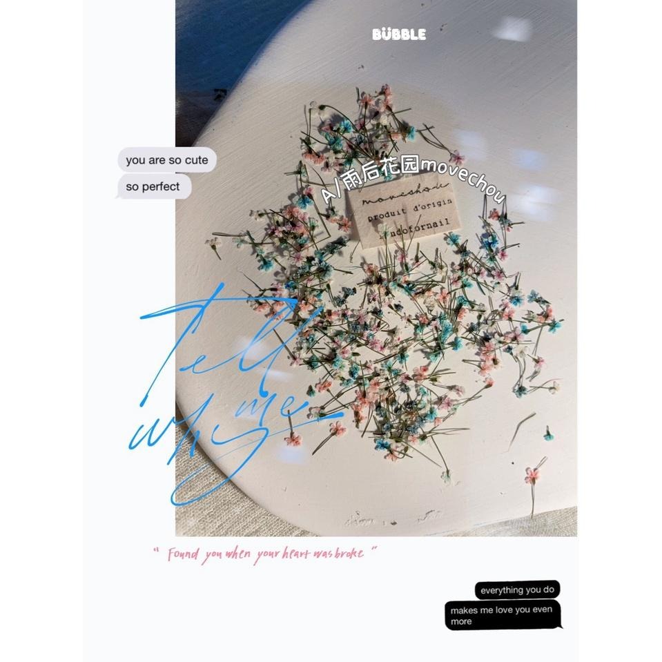 日韓ins風高冷配色美甲小碎花 蕾絲花 乾燥花【美甲素材 美甲工具 美甲 乾燥花 壓花】(乾燥花K)-細節圖2