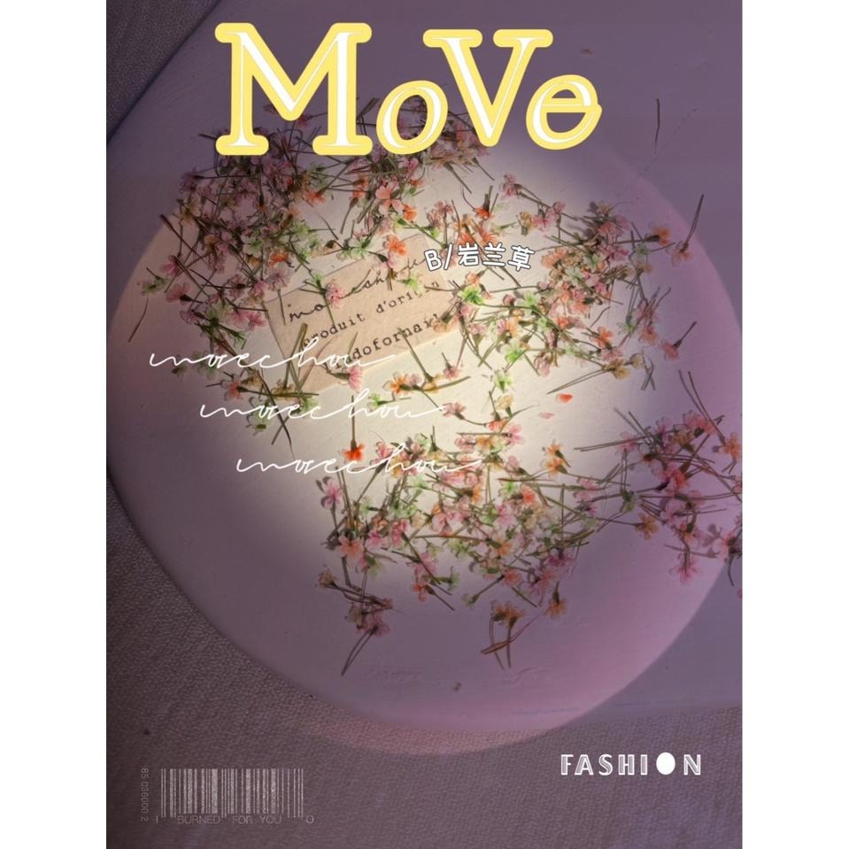 日韓ins風高冷配色美甲小碎花 蕾絲花 乾燥花【美甲素材 美甲工具 美甲 乾燥花 壓花】(乾燥花K)-細節圖4