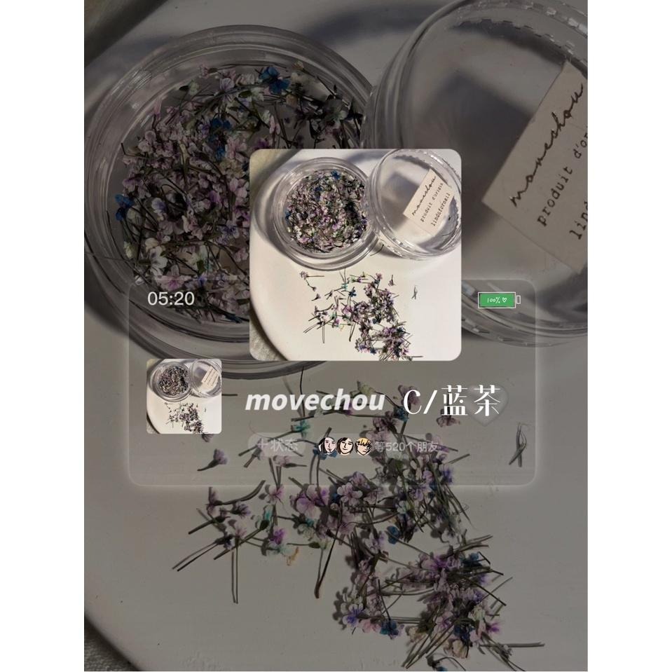 日韓ins風高冷配色美甲小碎花 蕾絲花 乾燥花【美甲素材 美甲工具 美甲 乾燥花 壓花】(乾燥花K)-細節圖6