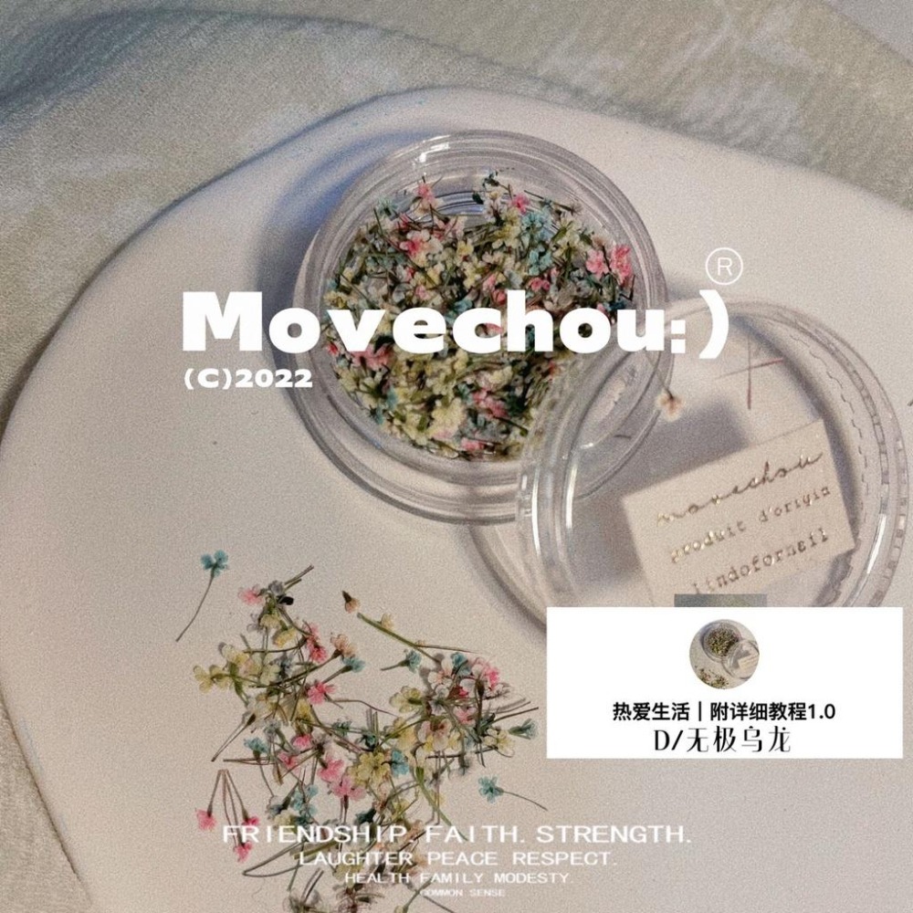 日韓ins風高冷配色美甲小碎花 蕾絲花 乾燥花【美甲素材 美甲工具 美甲 乾燥花 壓花】(乾燥花K)-細節圖7