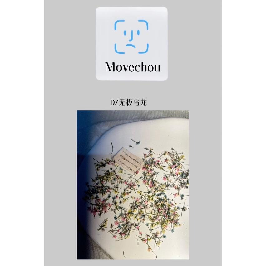 日韓ins風高冷配色美甲小碎花 蕾絲花 乾燥花【美甲素材 美甲工具 美甲 乾燥花 壓花】(乾燥花K)-細節圖8