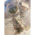 日韓ins風高冷配色美甲小碎花 蕾絲花 乾燥花【美甲素材 美甲工具 美甲 乾燥花 壓花】(乾燥花K)-規格圖9