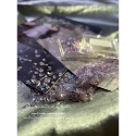 歐泊人魚極光琉璃油畫風碎石【碎石 寶石 貝殼 礦石 美甲素材 美甲工具 美甲】(貝殼P)-規格圖8