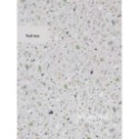 Tata原創美甲拍照背景板/A系列【Tata同款 美甲拍照 美甲 拍照 攝影 美甲展示 背景板 拍照道具 拍照背景】-規格圖9