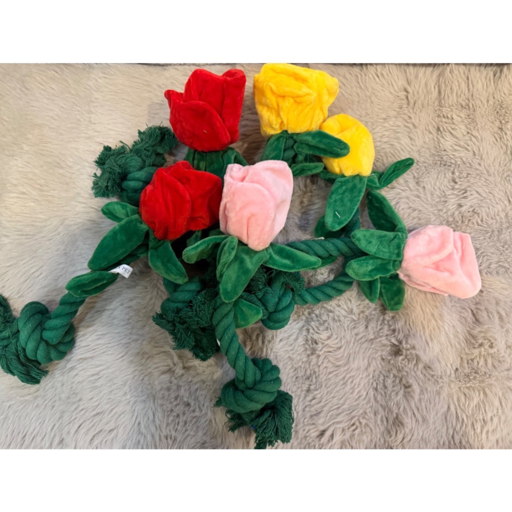 🎁現貨-小狗狗玩具-規格圖3