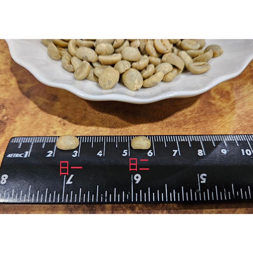 緬甸精品咖啡生豆 G1 高山日曬豆 －－－  AA 阿拉比卡 (黃波旁）-規格圖10