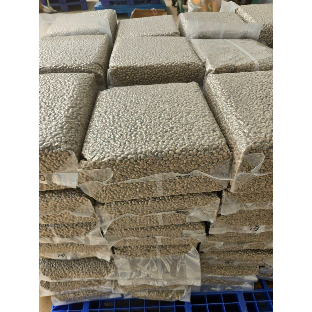 緬甸莊園精品水洗豆 G1 高山咖啡豆 AA 阿拉比卡 (卡蒂姆）-規格圖10