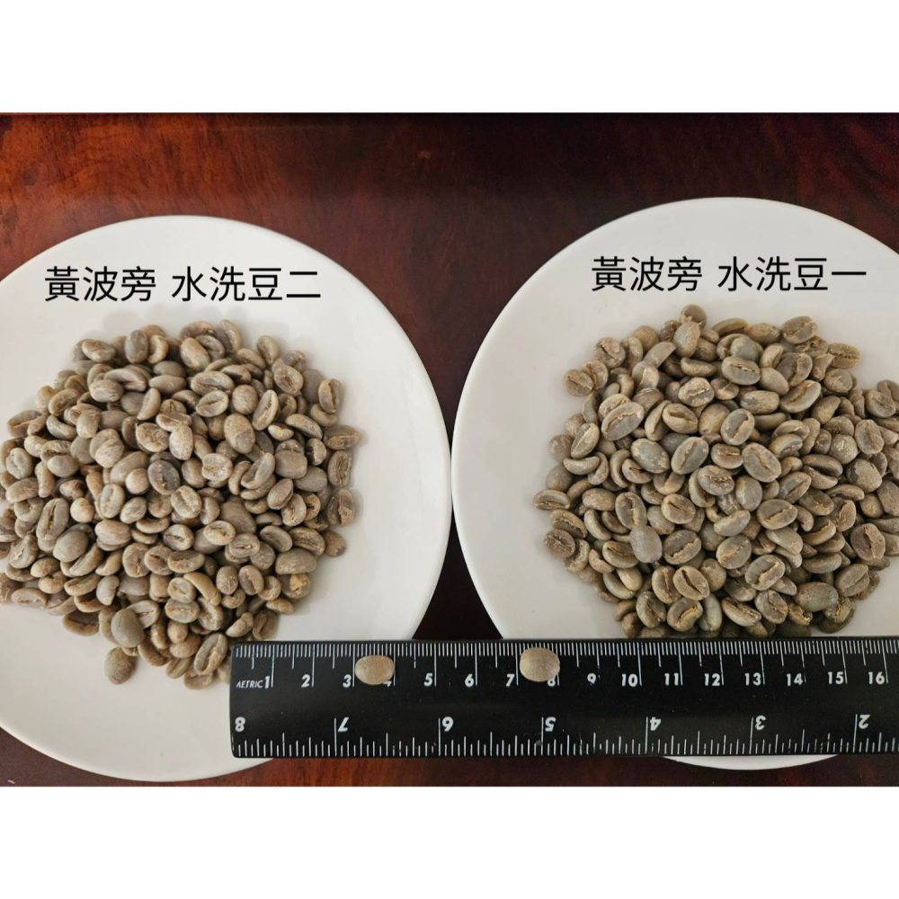 緬甸莊園精品水洗豆 G1 高山咖啡豆 AA 阿拉比卡 (黃波旁)-細節圖3