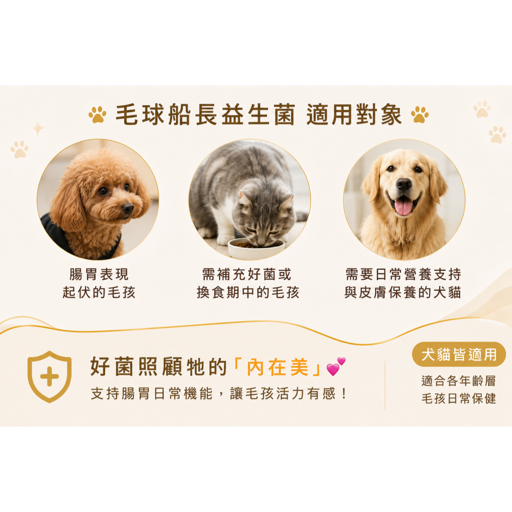 【毛球船長】益腸順暢 寵物益生菌 排便 消化 適口性佳 犬貓適用 寵物保健品-細節圖3