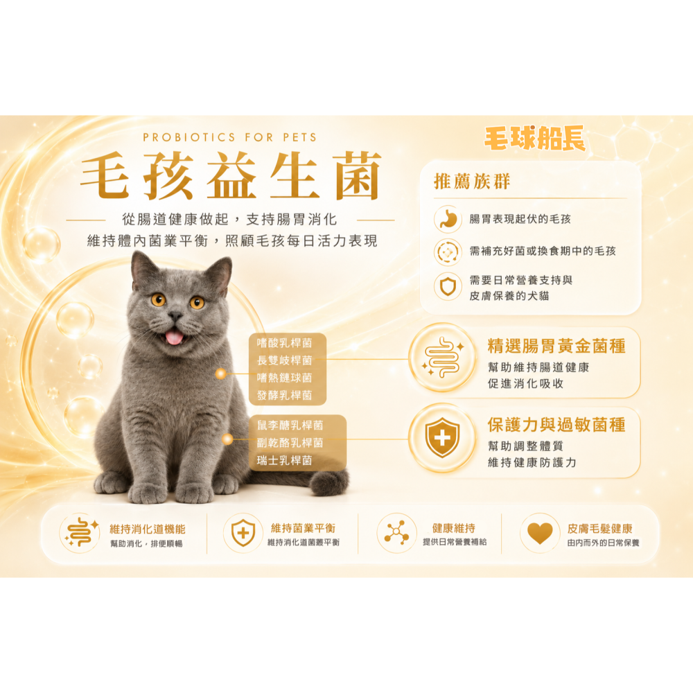【毛球船長】益腸順暢 寵物益生菌 排便 消化 適口性佳 犬貓適用 寵物保健品-細節圖5