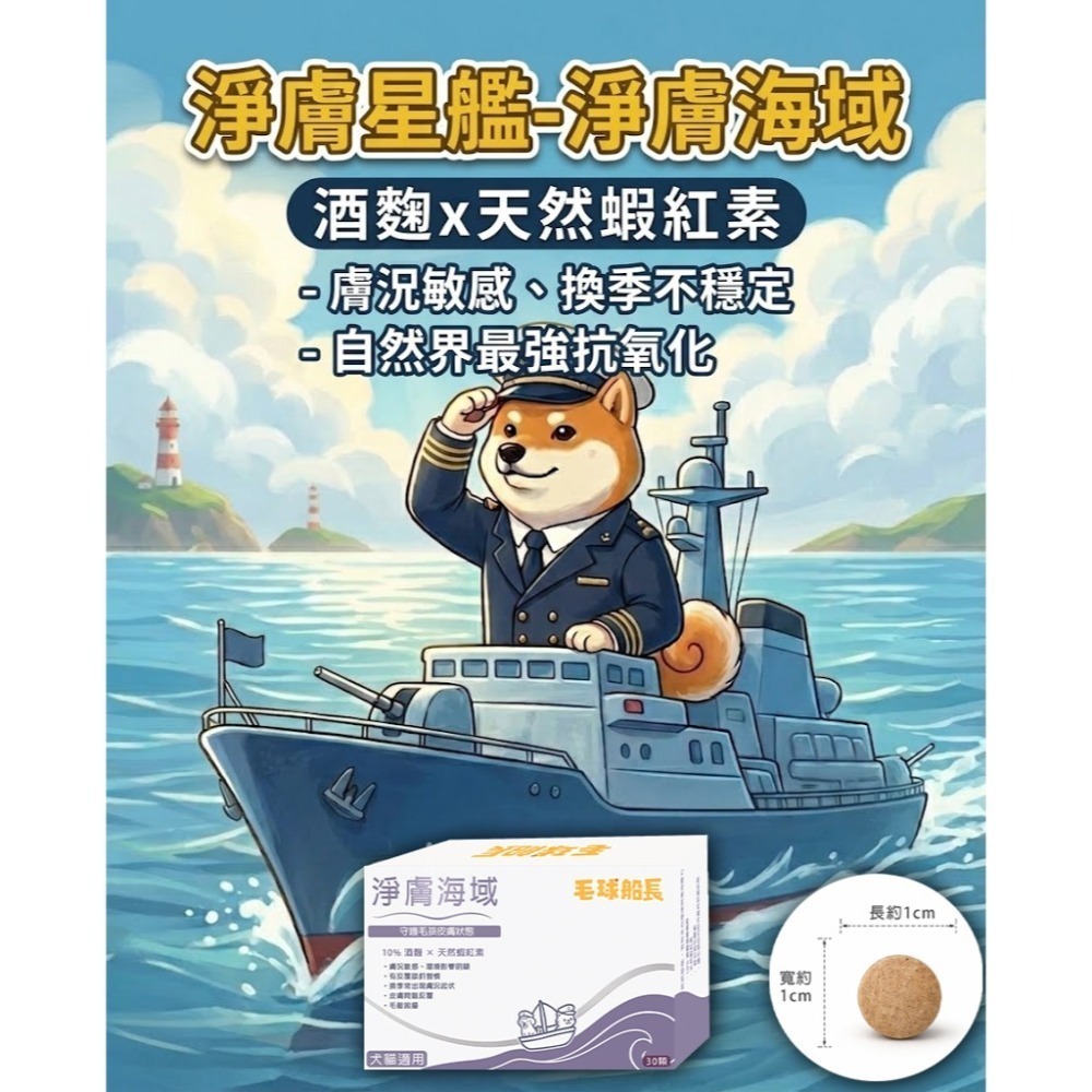 【毛球船長】淨膚海域 皮膚保健 異位皮膚  適口性佳 犬貓適用 寵物保健品-細節圖2