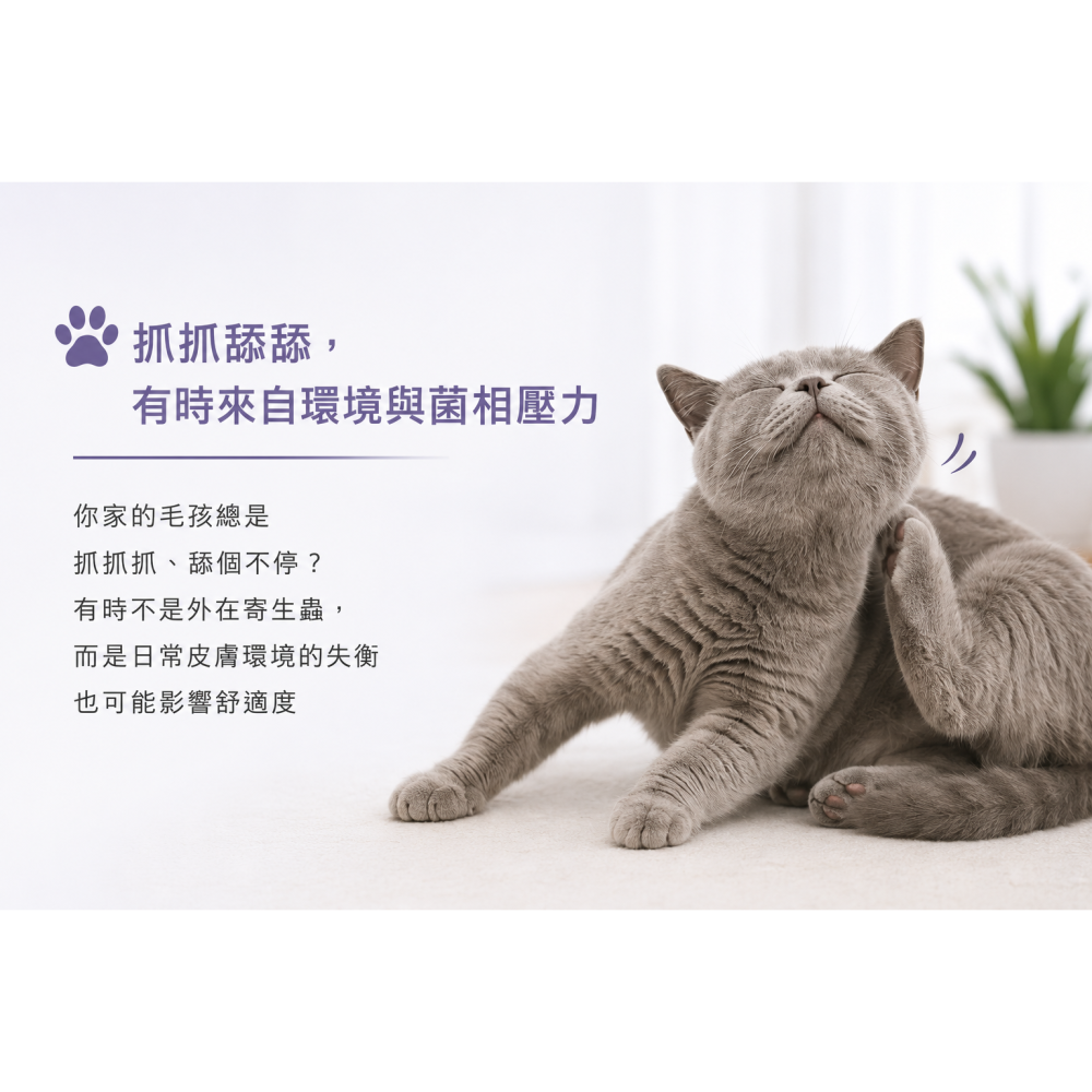 【毛球船長】淨膚海域 皮膚保健 異位皮膚  適口性佳 犬貓適用 寵物保健品-細節圖4