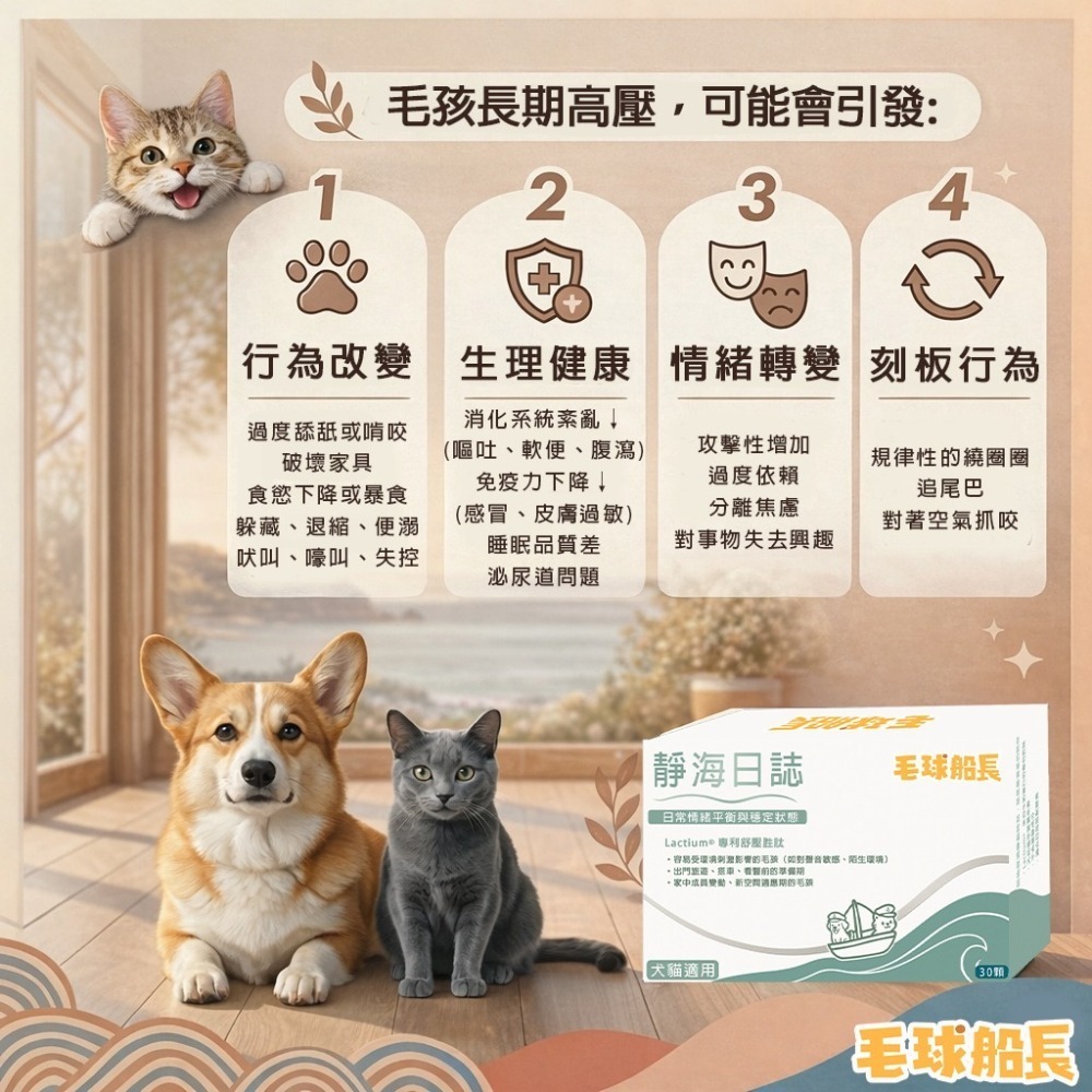 【毛球船長】靜海日誌| 情緒 壓力 Lactium® 硬膠囊 適口性佳 犬貓適用 寵物保健品-細節圖4