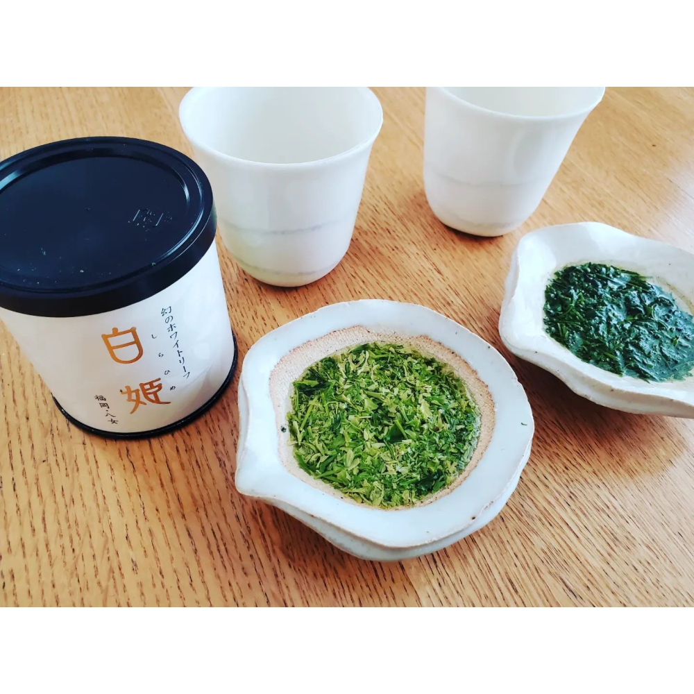星野製茶園🌟八女煎茶｜煎茶特撰、特煎Ｓ印、白葉茶「白姫」、有機栽培煎茶、藤綠、出品煎茶-細節圖5