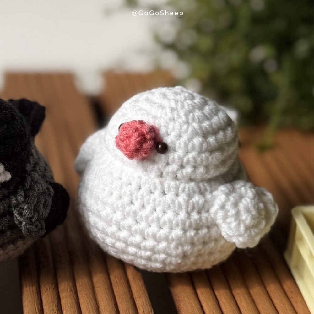 白文鳥