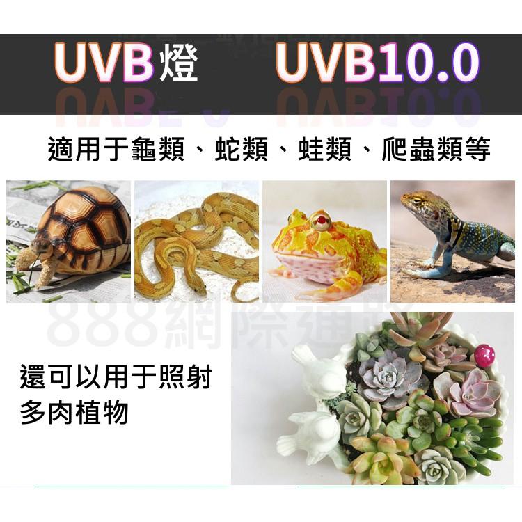 110V UVB 10.0 13W 26W 紫外線 陸龜 烏龜 爬蟲 曬背燈 補鈣燈 多肉植物 燈泡 爬蟲 UV 5.0-細節圖2