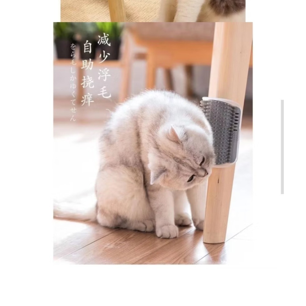 牆角梳 貓磨蹭 貓抓癢 貓梳毛（大號藍色！） 牆角貓蹭毛器 寵物梳 貓不求人 貓咪-細節圖7