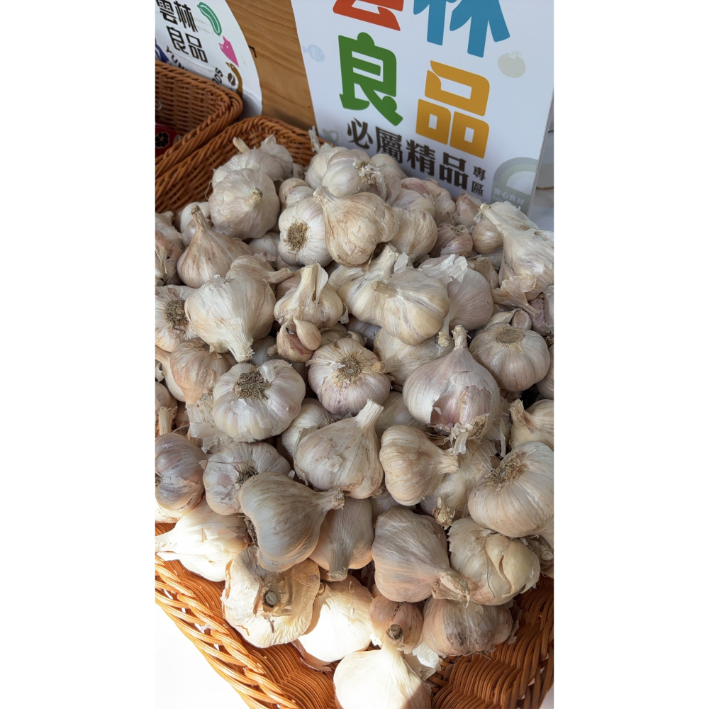 蒜頭茄芷袋-細節圖2