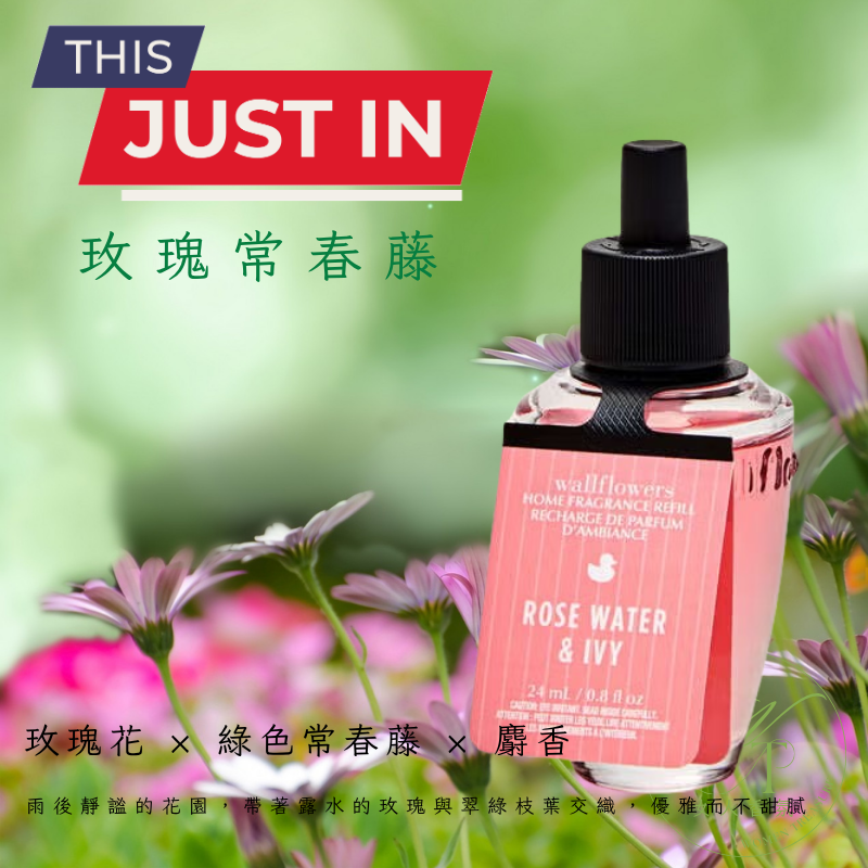 🌸補充瓶-玫瑰常春藤