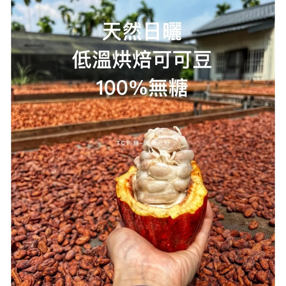 TC巧鋪 烘培可可豆-細節圖2