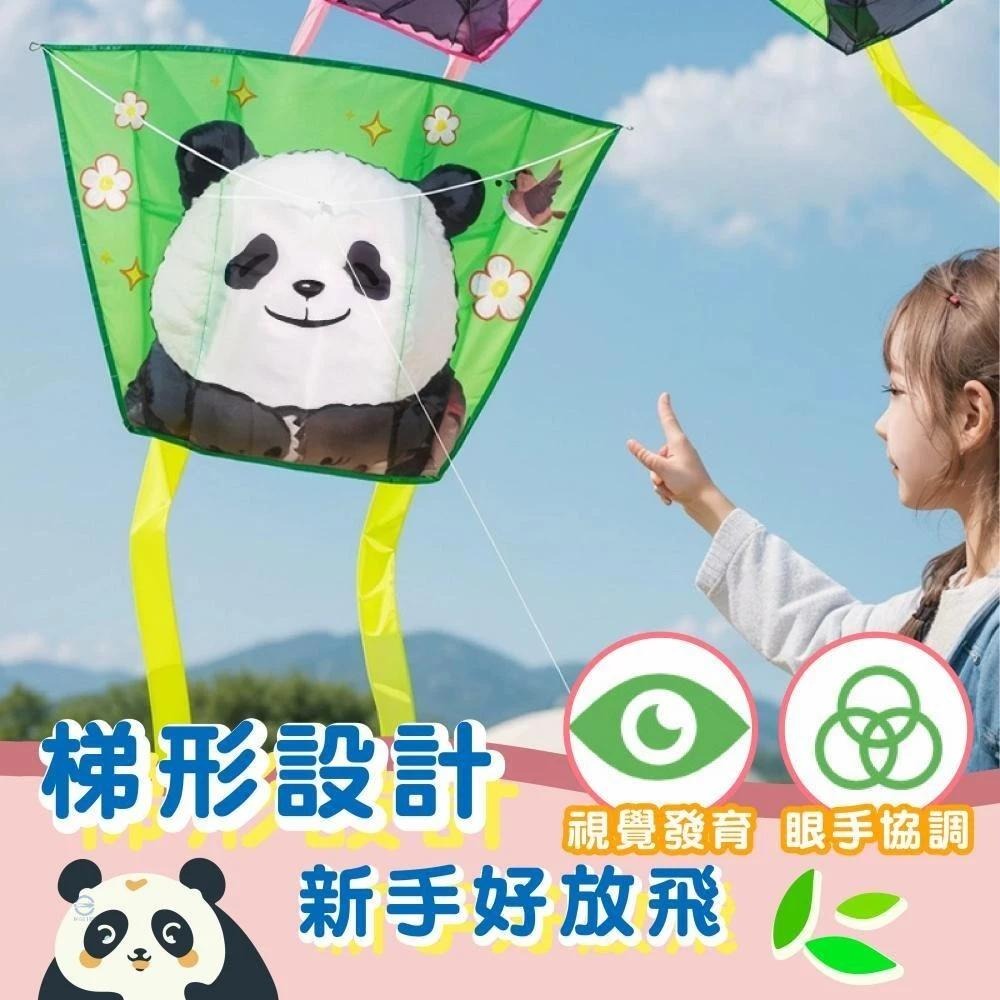 【苗栗現貨&含發票】 風箏玩具 口袋風箏 軟體風箏 小風箏 放風箏 戶外玩具 公園玩具 露營玩具 親子互動-細節圖8