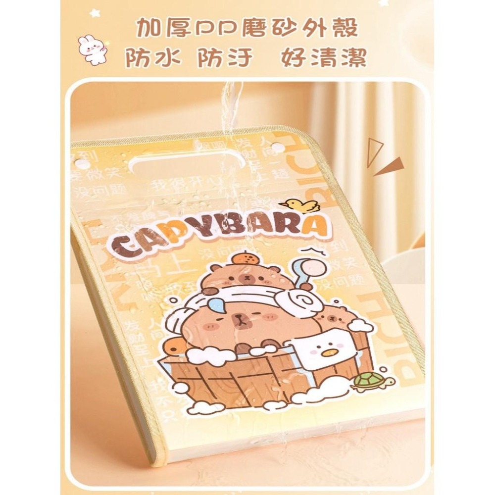 【苗栗現貨&含發票】 卡皮巴拉 風琴夾 考卷夾 國小考卷夾 國小資料夾 小學考卷夾 小學資料夾 小學收納 文件夾 收納夾-細節圖6