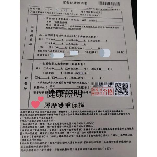 嚴選優質~正台灣放山雞 大雞腿600g195元  土雞腿 雞腿 保證每日新鮮現宰~履歷(真空包裝)💞肉品皆以實秤為主。-細節圖5