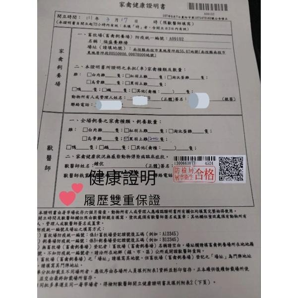 嚴選優質~台灣放山雞 黑羽土雞  土雞肝600g40元 土雞肝  每日新鮮現宰~去腸.膽履歷  土雞肝600g40元-細節圖4