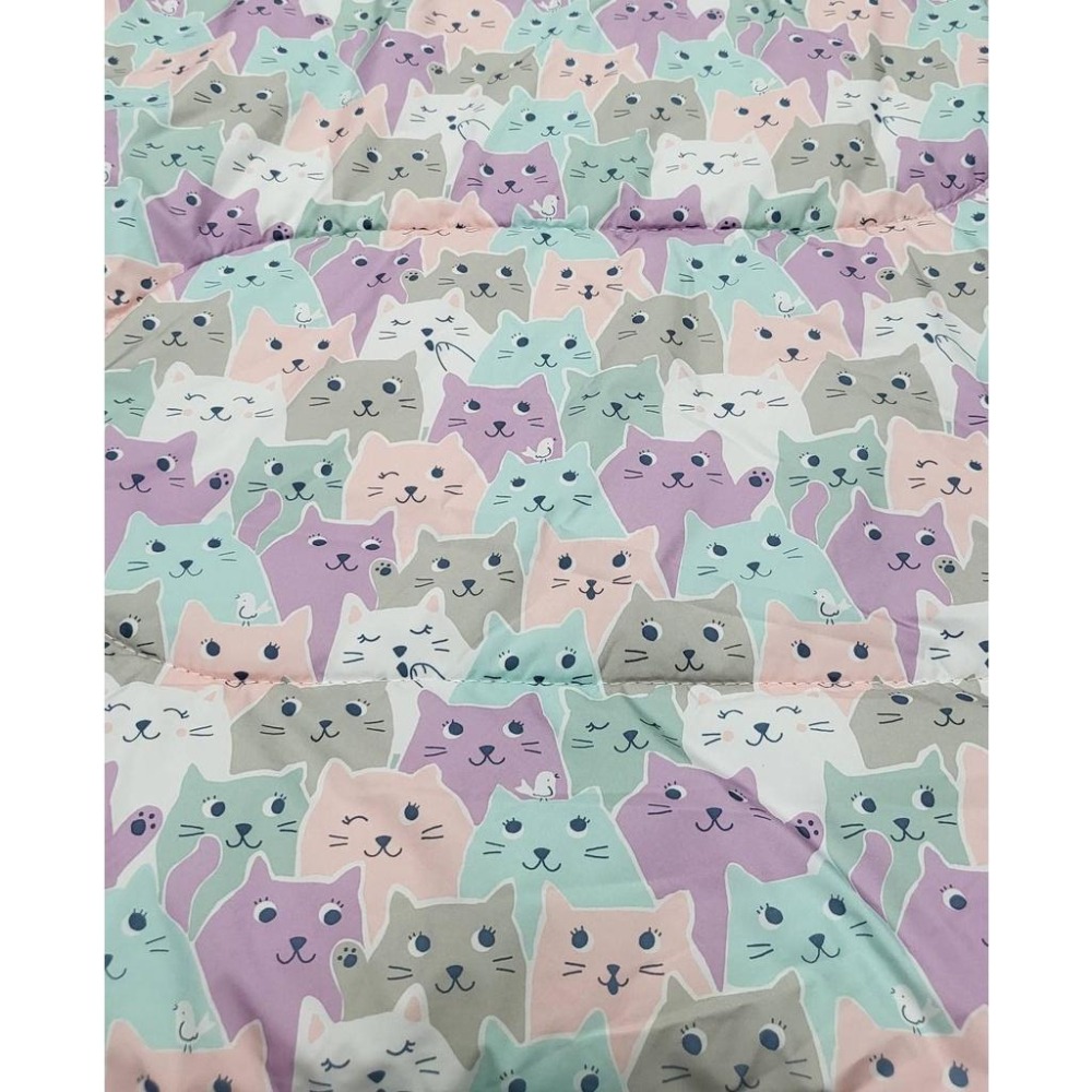 日野戶外~野放 wildfun 輕巧舒適童趣款系列 露營 睡袋 卡通睡袋 午睡 童趣睡袋  兒童睡袋 住宿 野營 台灣製-細節圖4