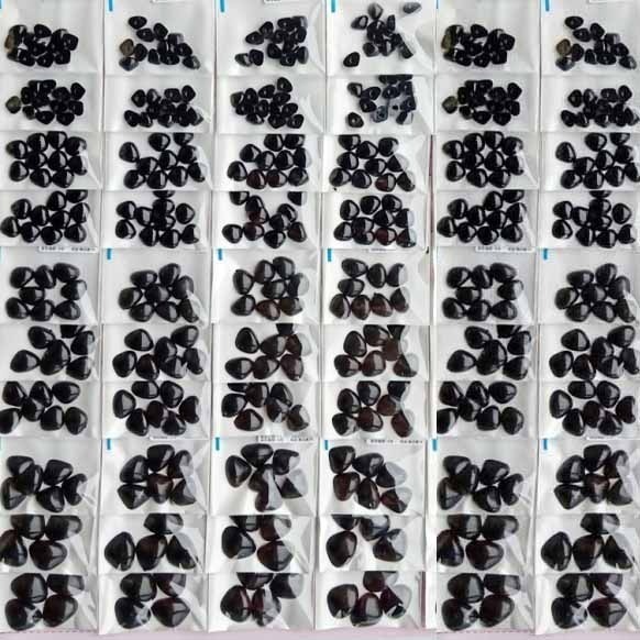 西西手工藝材料 25854 平底三角鼻 螺絲鼻 螺旋鼻 玩具鼻子 羊毛氈 玩偶配件 動物鼻子 柴犬鼻 狗鼻 滿額免運-細節圖2