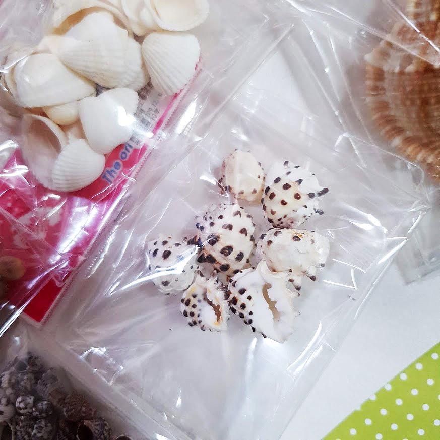 西西手工藝材料 25506 貝殼(約14~16g) 天然貝殼 原色貝殼 小海螺 貝殼 海洋風 小貝殼 滴膠裝飾 滿額免運-細節圖6