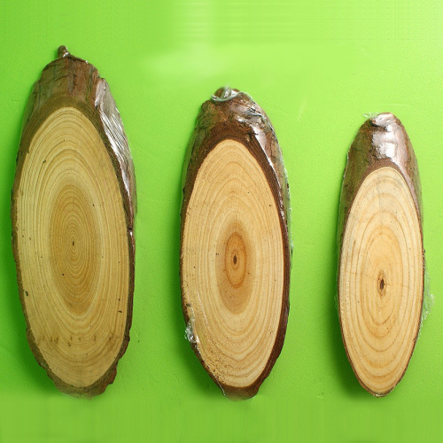 西西手工藝材料 帶皮木塊12cm~16cm 天然木塊橢圓原木塊 樹木頭切片 木板帶皮木片 大木片黏土DIY材料 滿額免運