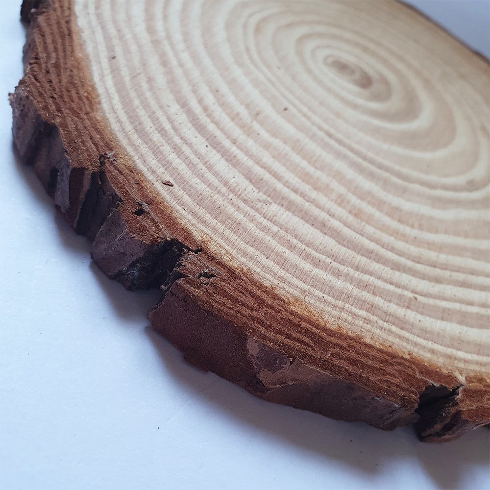 西西手工藝材料 26617 木片#14(1入)約14~15cm 實木片帶皮木塊樹皮原木塊彩繪原木片圓木塊實木工 滿額免運-細節圖2