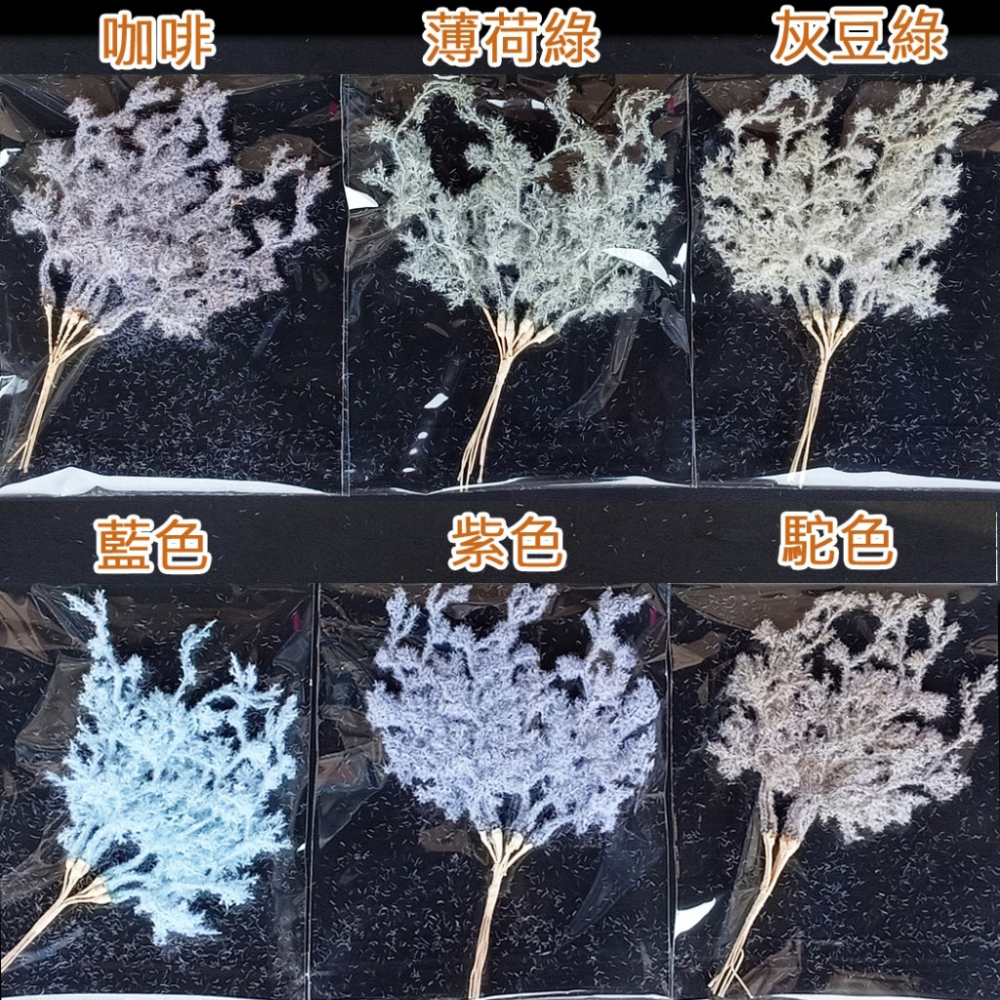 西西手工藝材料 26634 珊瑚草(1入)長約20cm 布置新娘捧花設計婚禮佈置 胸花小花束母親節送禮情人節 滿額免運-細節圖3
