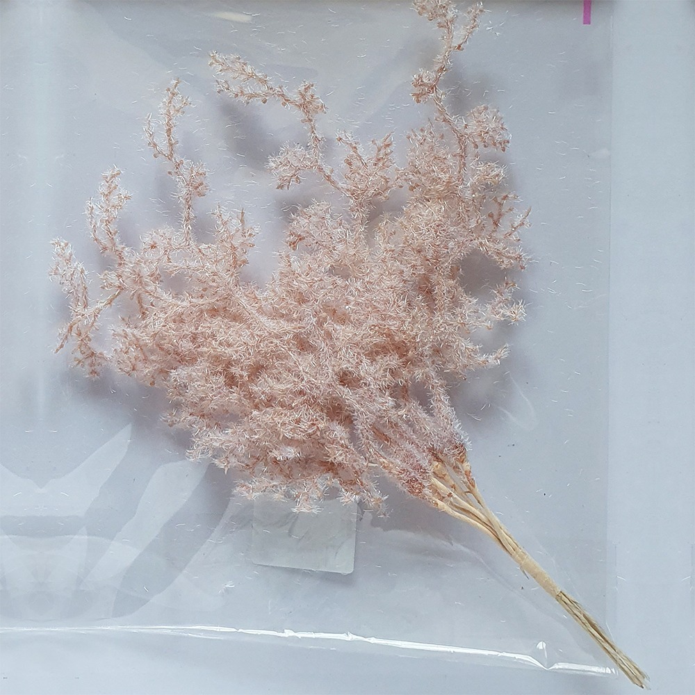 西西手工藝材料 26634 珊瑚草(1入)長約20cm 布置新娘捧花設計婚禮佈置 胸花小花束母親節送禮情人節 滿額免運-細節圖4