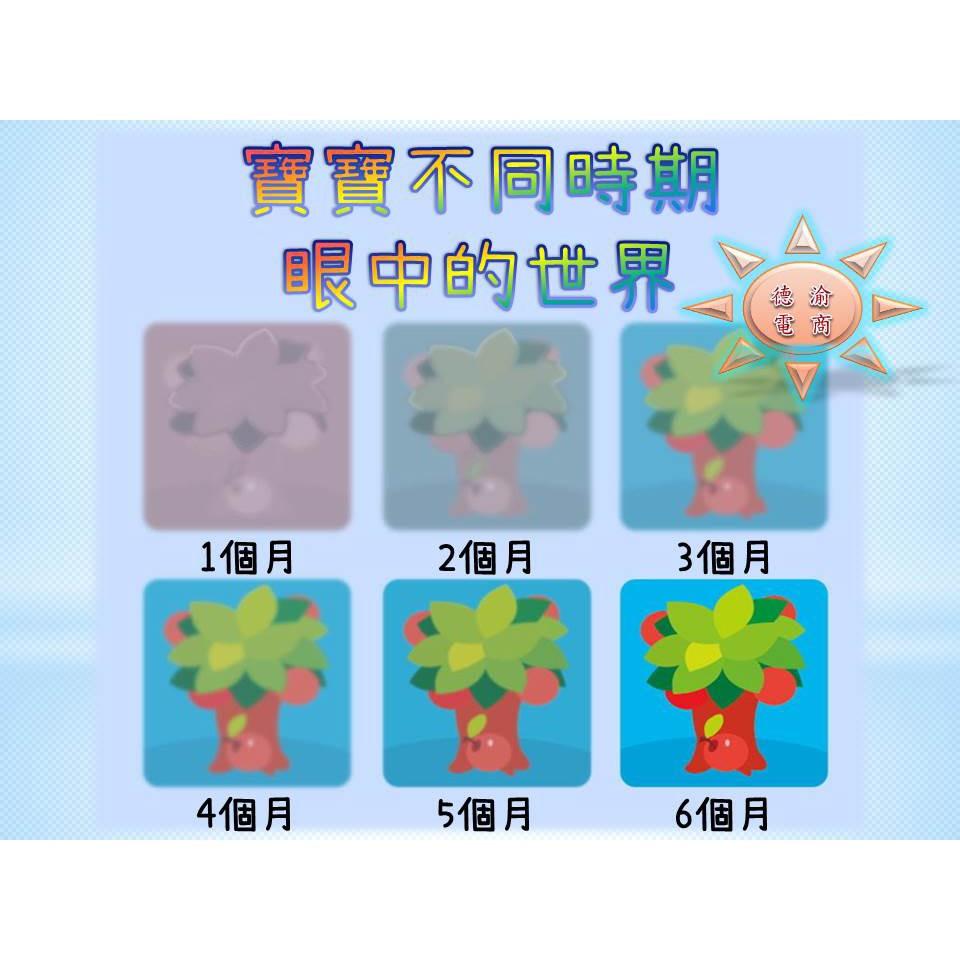 [現貨在台 台灣出貨]專為寶寶設計 寶寶早教卡 嬰兒早教視覺卡 視覺激發追視卡 簡體中文版-細節圖4