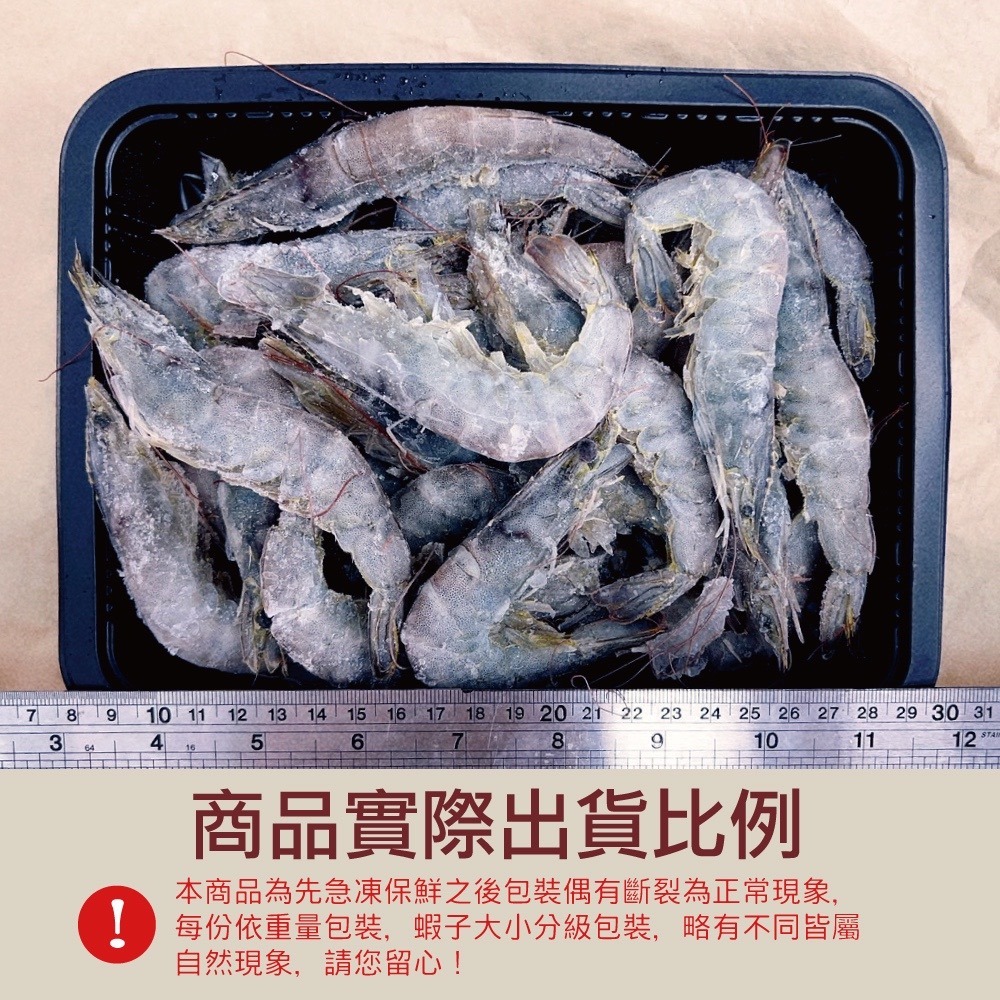 星級 藍寶石白蝦 500g／盒／不含冰【赤豪家庭私廚】-細節圖3